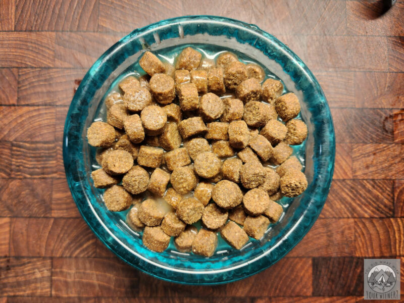 Water-Added-to-Dry-Dog-Food-800x600